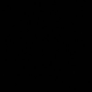 Meet your Posher, Hernan